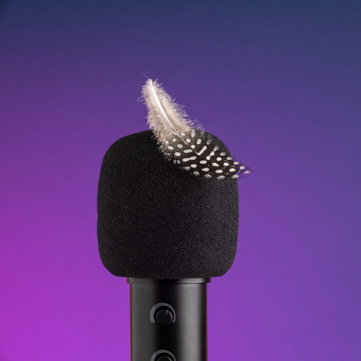 Gaming Microphone